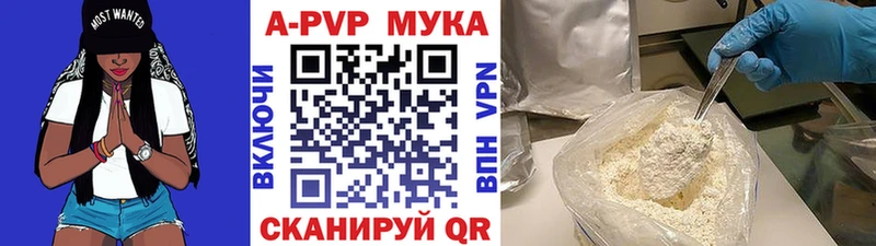 ОМГ ОМГ зеркало Бежецк A PVP СК