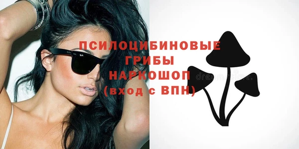 стаф Алексин
