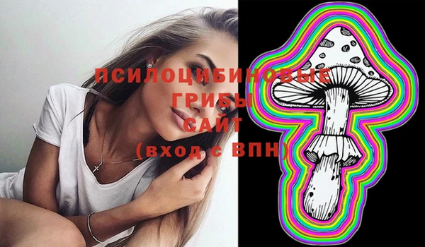 таблы Алзамай