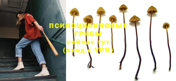 таблы Алзамай