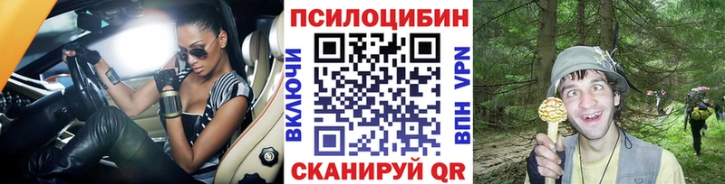 Псилоцибиновые грибы мицелий  Бежецк 